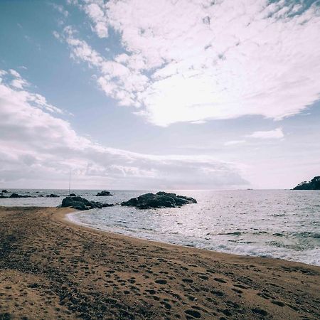 Apartamento Reformado A 2 Minutos De La Playa En Calella! 卡莱利亚德帕拉弗鲁赫尔 外观 照片